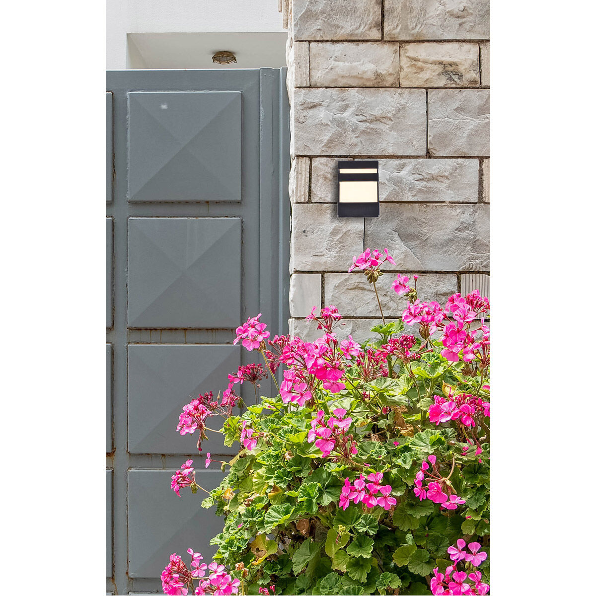 Raine Outdoor Wall Light in Black