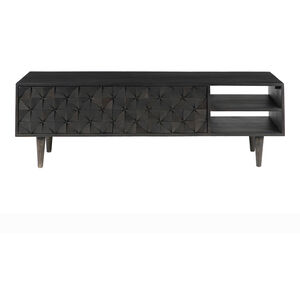 Pablo 55 inch Black Entertainment Unit