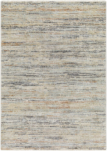 Rojin 91 X 63 inch Rug, Rectangle