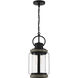 Parker 1 Light 8.5 inch Lodge Outdoor Hanging Lantern