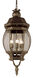 Parsons 4 Light 11 inch Black Gold Outdoor Hanging Lantern