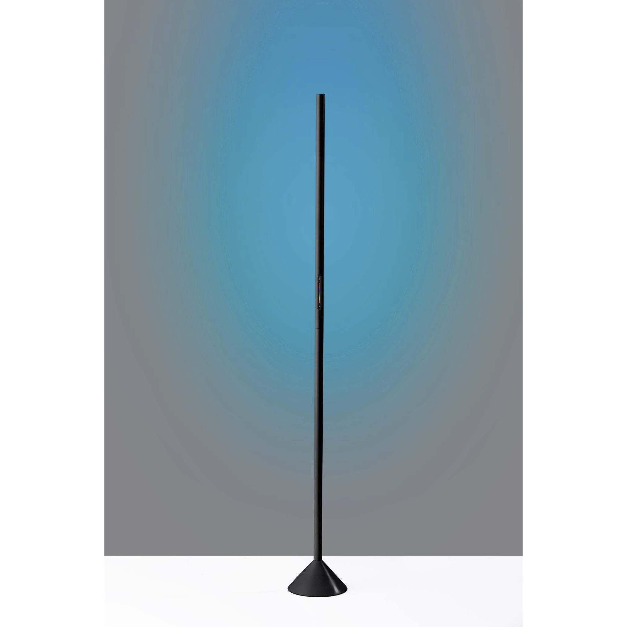 Simplee Adesso SL4920 01 Cole LED Color Changing Wall Washer Floor Lamp Black