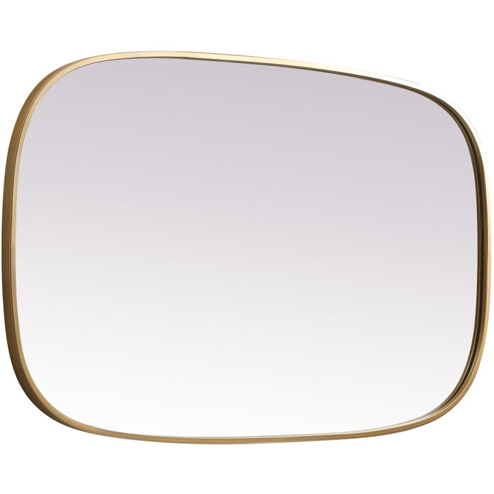 Brynn 40 X 24 inch Brass Mirror in 24 x 40