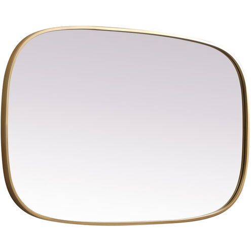 Brynn 40 X 24 inch Brass Mirror in 24 x 40