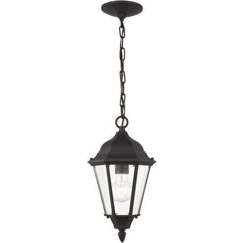 Bakersville 1 Light 7.88 inch Black Outdoor Pendant