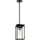 Vado 1 Light 6.38 inch Outdoor Pendant/Chandelier