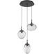 Cosmos LED LED 22.3 inch Matte Black Chandelier Ceiling Light in 3000K LED, Clear Floret Inner with Clear Cosmos Outer, Round Multi-Port