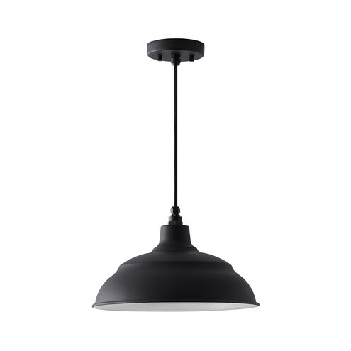 RLM 1 Light 14 inch Black Outdoor Hanging Lantern