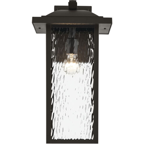 Capanna 1 Light 20 inch Olde Bronze Outdoor Wall Light