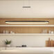 Eerie LED 59 inch Black Pendant Ceiling Light