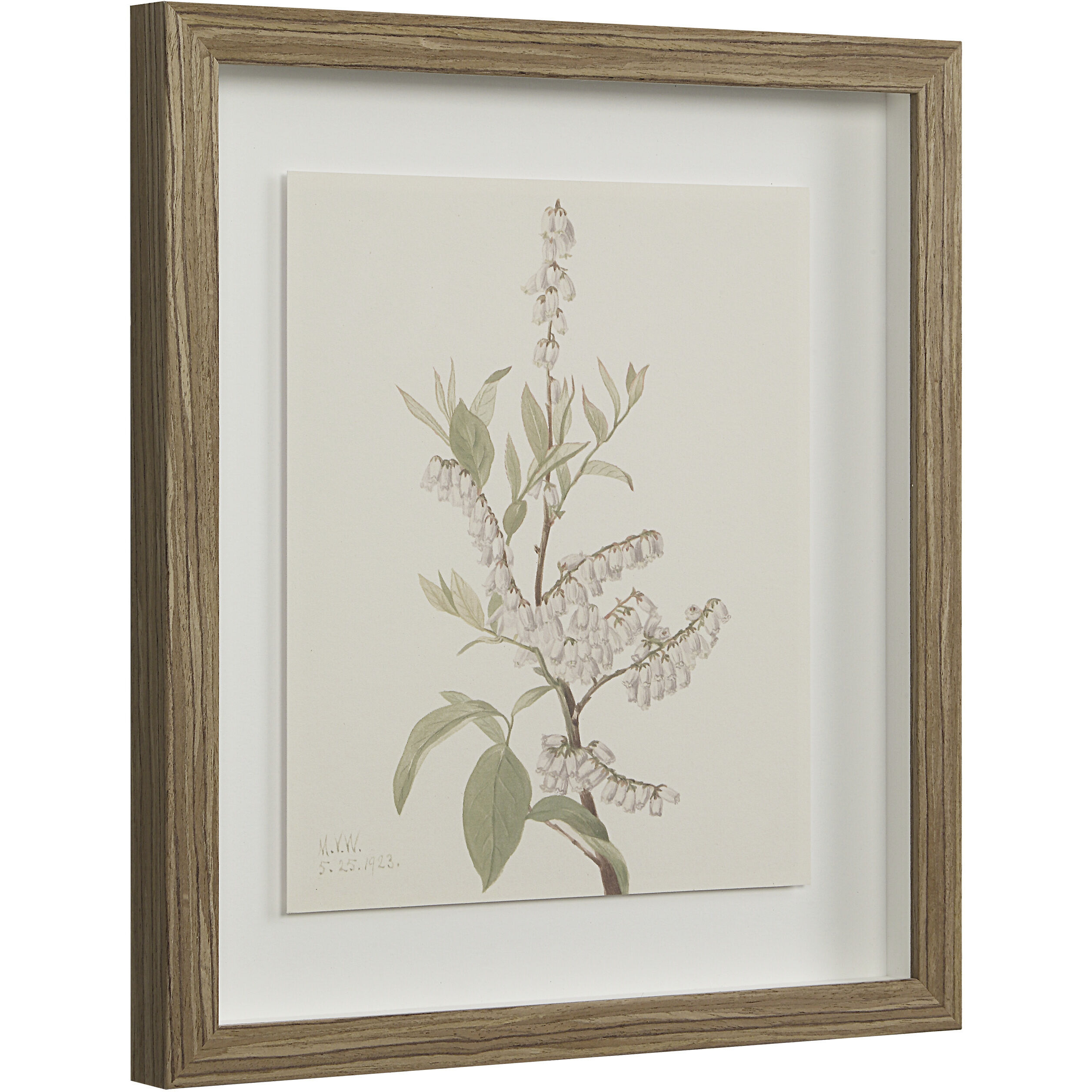 Crema 15 X 13.25 inch Printed Artworks, Set of 9