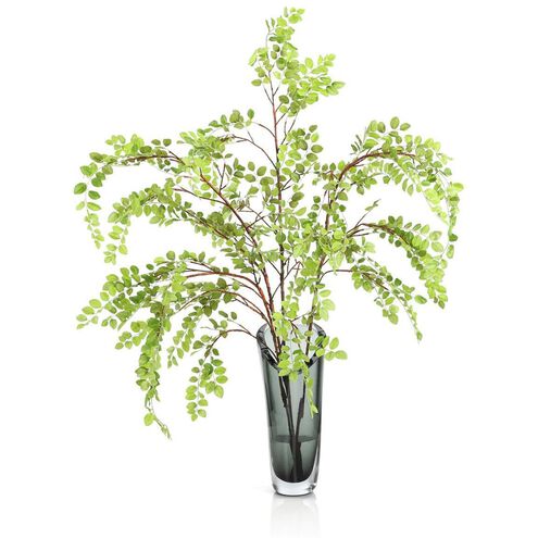 Aspine Button Leaf Botanical/Floral