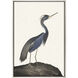 Great Heron Blue and Brown and Multi Canvas