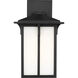 Tomek 1 Light 14 inch Black Outdoor Wall Lantern, Medium