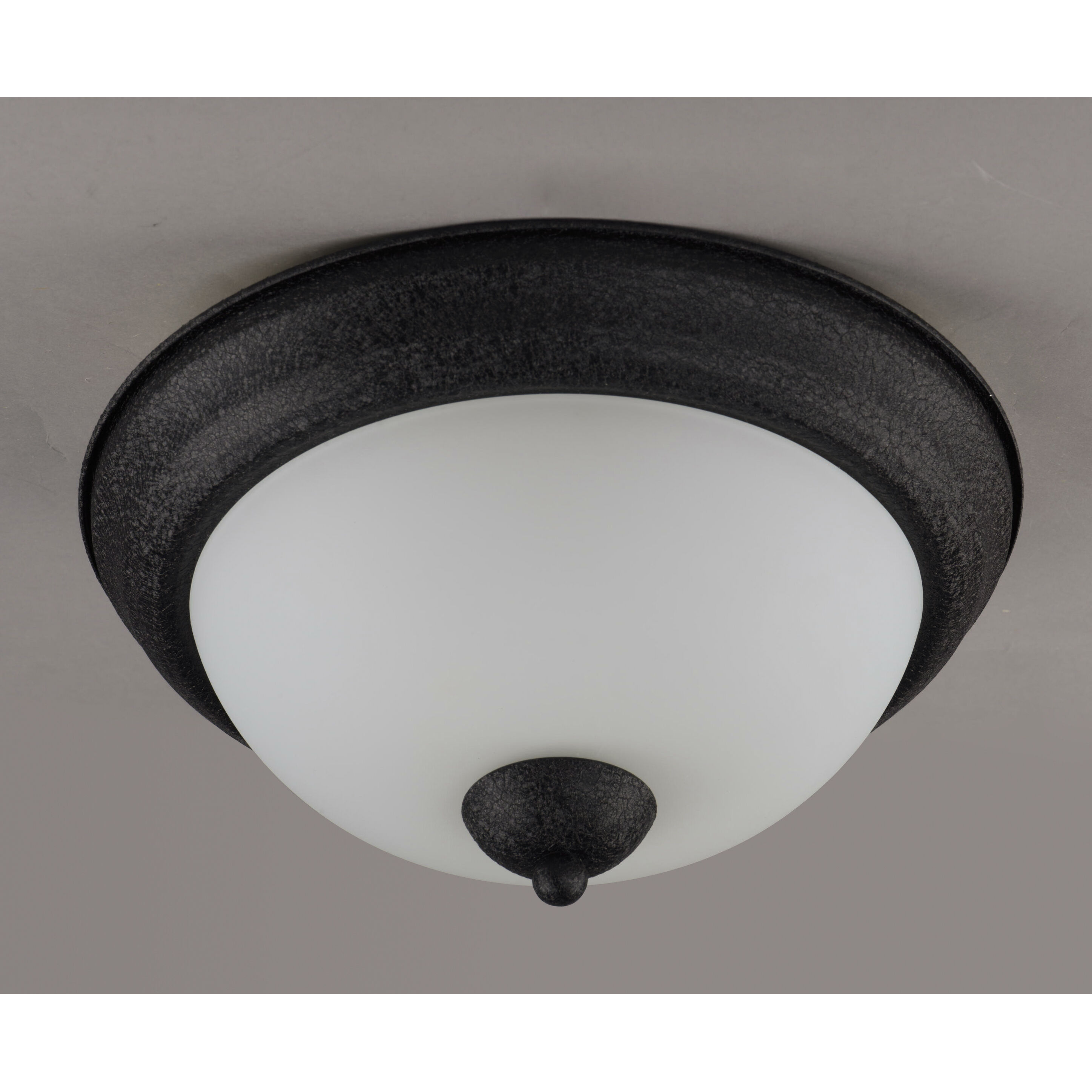Taylor 2 Light 11.25 inch Textured Black Flush Mount Ceiling Light