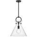 Alora Mood Emerson Pendant Ceiling Light in Matte Black, Clear Glass