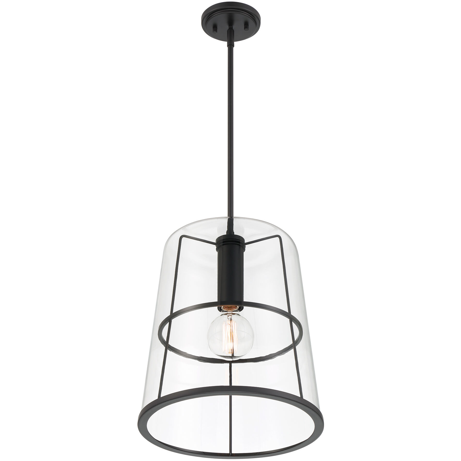Alonzo 1 Light 14 inch Matte Black Pendant Ceiling Light