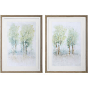 Meadow View 38 X 28 inch Framed Prints, Set of 2
