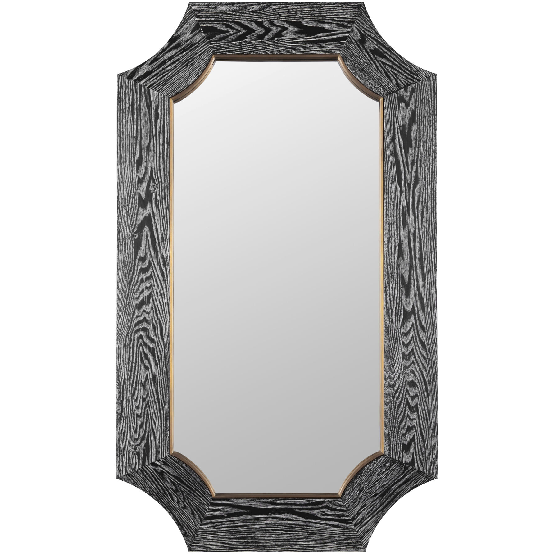 Farra 44 X 26 inch Cerused Black with Weathered Brass Wall Mirror, Varaluz Casa