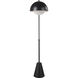 Cooke 65 inch 60.00 watt Matte Black Floor Lamp Portable Light