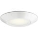Horizon III White Downlight