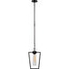 Ian K. Fowler Presidio LED 9.25 inch Bronze Caged Pendant Ceiling Light in Clear Glass, Petite