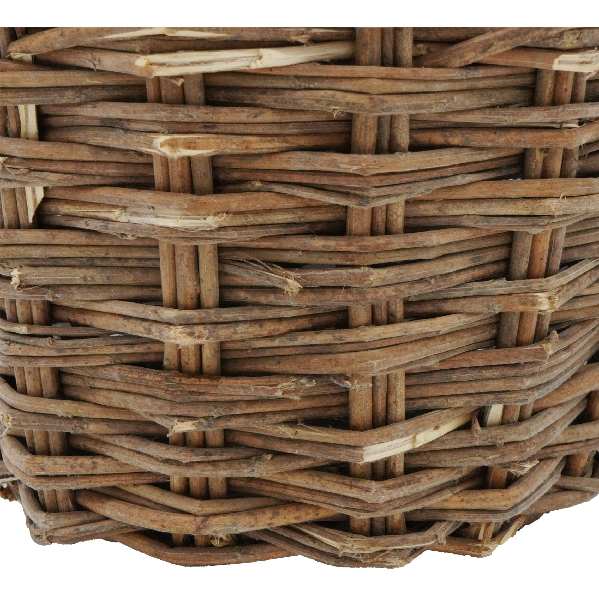 Abella 15.5 X 9.8 inch Decorative Bottle