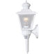 Monroe 1 Light 16.75 inch White Outdoor Wall Decor Motion