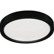 Outdoor Ceiling Lights