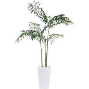 Palms White Botanical, Lush Greenery