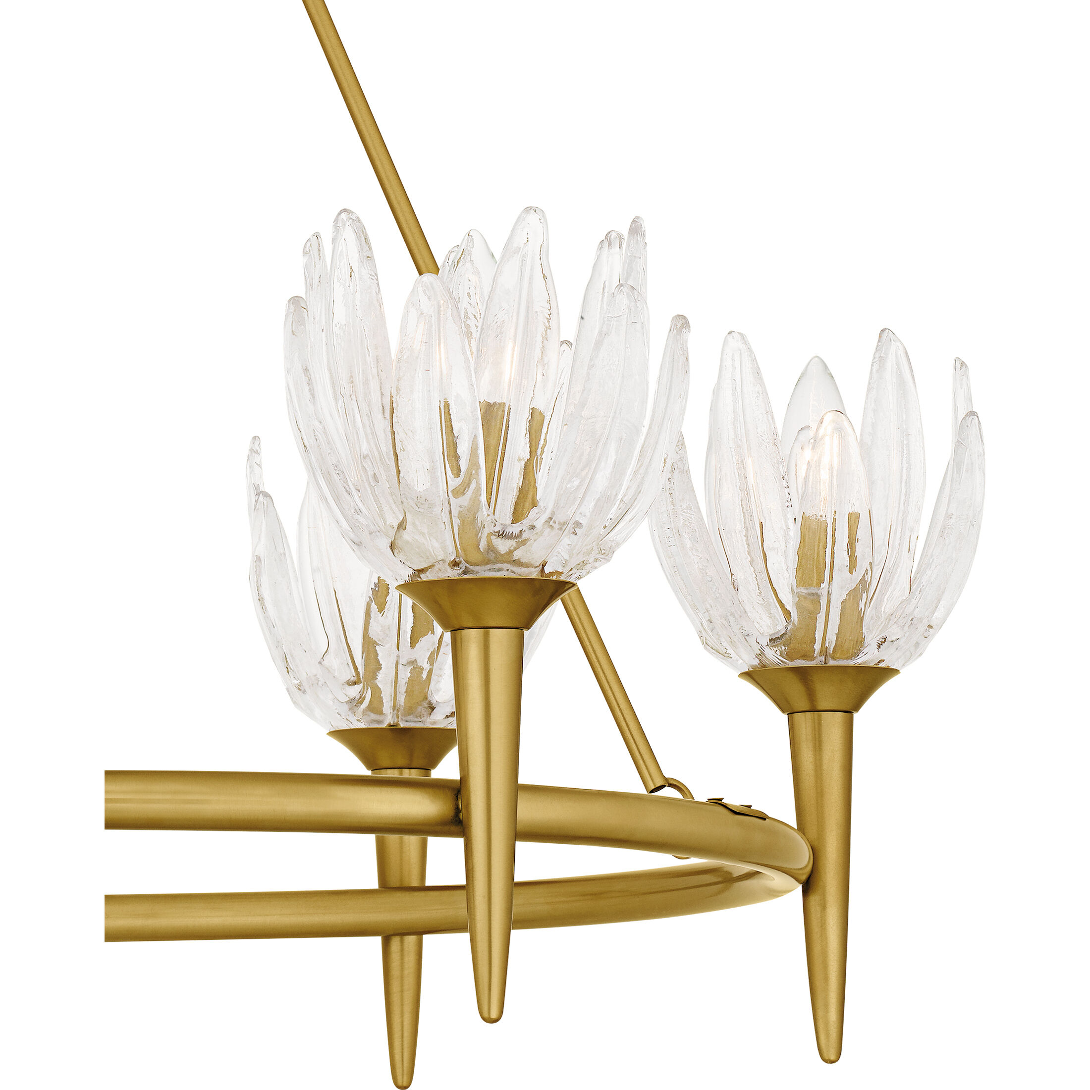 Shea 6 Light 31 inch Brushed Gold Chandelier Ceiling Light