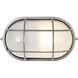 Nauticus 1 Light 4.25 inch Satin Outdoor Wall Sconce in Incandescent