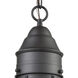 Onion 1 Light 10 inch Oil Rubbed Bronze Outdoor Pendant