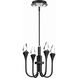 Beyond Plumeria LED 12 inch Black Pendant Ceiling Light