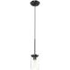 Erin 1 Light 5.25 inch Graphite Pendant Ceiling Light