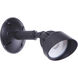 Bejamin LED Midnight Outdoor Flood