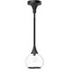 Alora Mood Hazel 1 Light 6.63 inch Clear Glass/Matte Black Pendant Ceiling Light