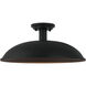 Farmley 1 Light 16 inch Matte Black Outdoor Pendant