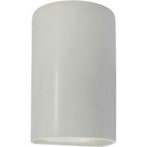 Ambiance Cylinder 1 Light 13 inch Matte White Outdoor Wall Sconce in Incandescent, Large