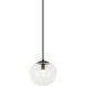 Bulbus LED 6.88 inch Matte Black Pendant Ceiling Light