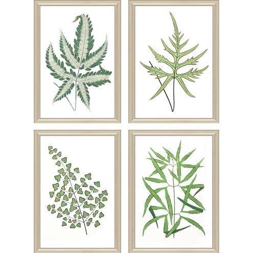 Florals Collection Green Framed Art