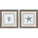 Ocean Finds Blue and Gray Framed Art, Propac