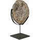 Wood Fossil Matte Black Base Decorative Object