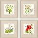 Fleur Melange Green and Red and Pink and Yellow Framed Art, Propac