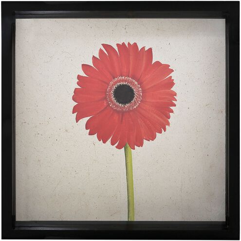 Gerber Daisy Red with Beige and Black Framed Wall Art