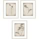 Wildflower Stems Brown and Gray and Neutral Framed Art, Propac
