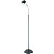 Contemporary 53 inch 5.00 watt Black Task Floor Lamp Portable Light, Gooseneck