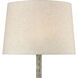 Regus 51 inch 100.00 watt Antique Gray Outdoor Floor Lamp