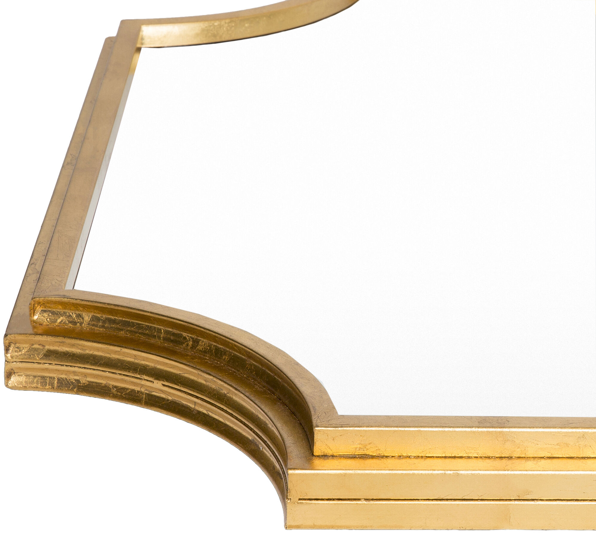 Joslyn 75 X 40 inch Gold Leaf Mirror, Full Length/Oversized