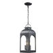 Presence 2 Light 7 inch Black Outdoor Hanging Lantern